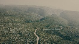 Abelone Films